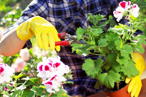 Gardeners Pentonville team working safely in a local garden