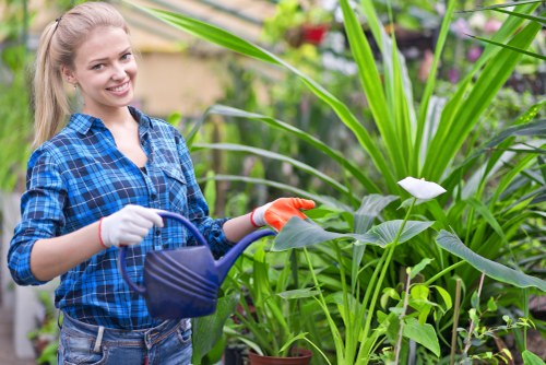 Gardener working in a Pentonville garden with plants and borders