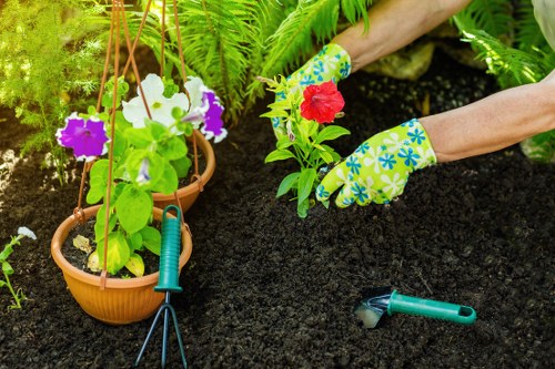 Local gardeners improving outdoor spaces in Pentonville