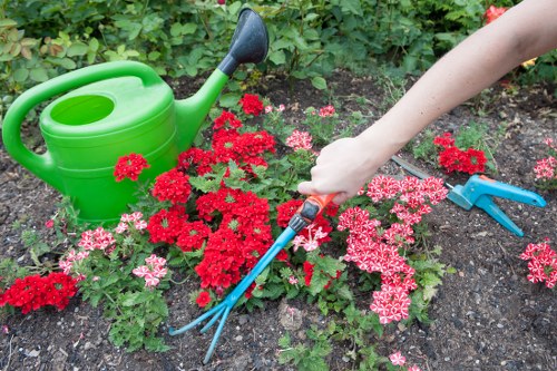 Healthy planting and maintained beds in a Pentonville outdoor space