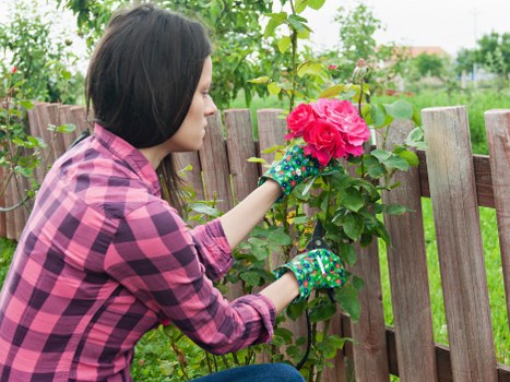 Gardeners Pentonville pricing for a small rear terrace garden