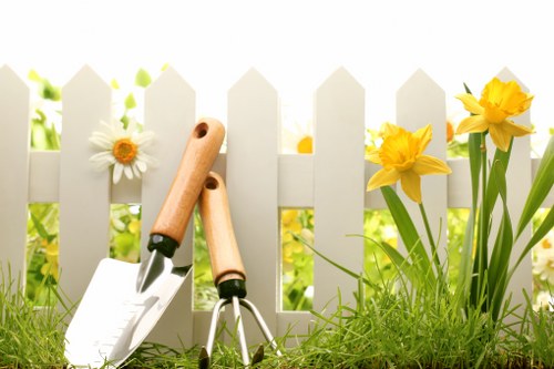Pruning and shaping work by Gardeners Pentonville