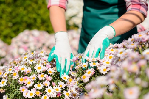Corrective action for a gardening complaint