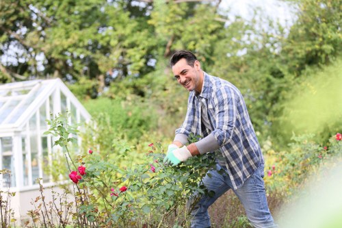Professional hedge maintenance for Pentonville properties