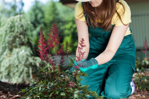 Annual review of modern slavery controls at Gardeners Pentonville