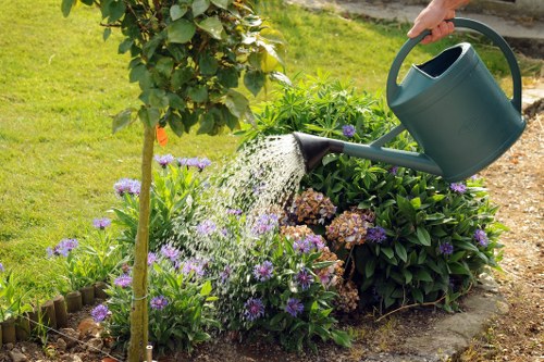 Professional pruning and hedge trimming in a Pentonville garden