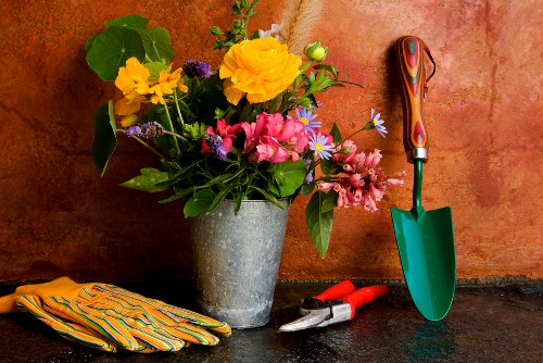 Responsible recycling and sustainability practices in an urban garden