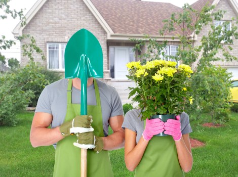 Professional lawn care service in Pentonville with fertilising and trimming