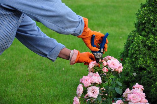 Transparent pricing model for Pentonville garden services