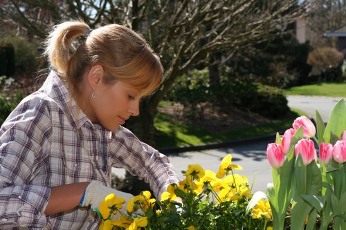 Planting ideas for landscape gardening in Pentonville with layered greenery