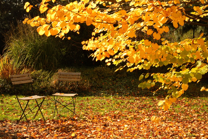 garden Patio